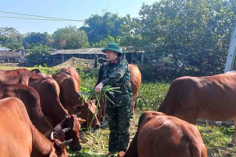 Giúp nhau phát triển kinh tế gia đình